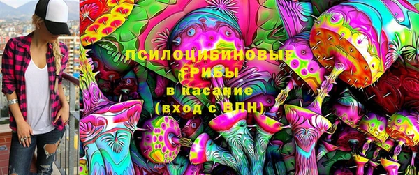 МДПВ Абаза
