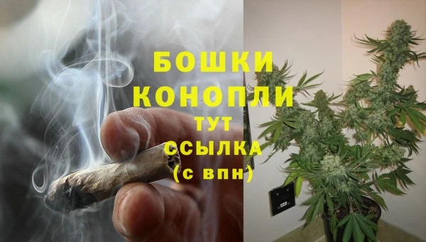 ГАЛЛЮЦИНОГЕННЫЕ ГРИБЫ Новозыбков